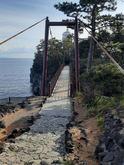 Izu Peninsula: Jogasaki Coast Experience - Inclusions and Experiences
