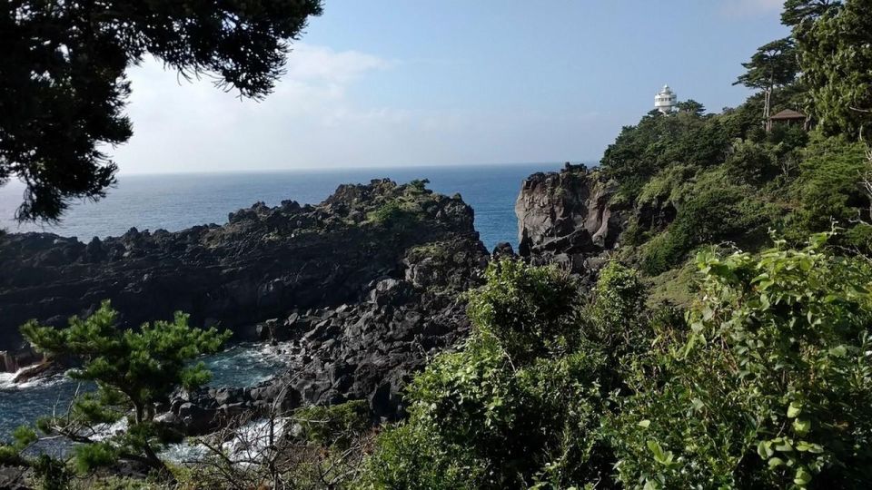 Izu Peninsula: Jogasaki Coast Experience - Boranaya Fishing Hut Exploration