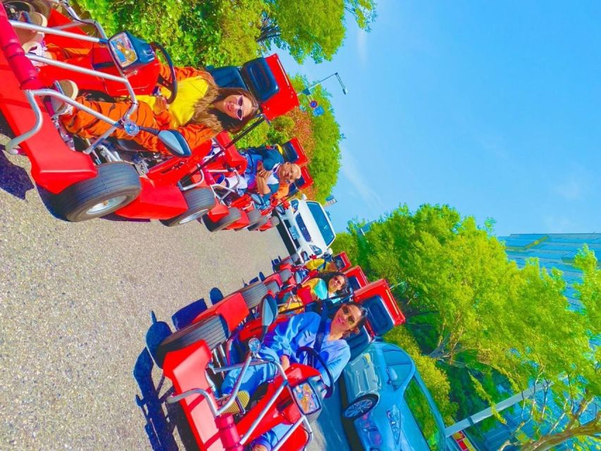 Tokyo: Guided Street Go-Karting Tour in Tokyo Bay - Activity Description