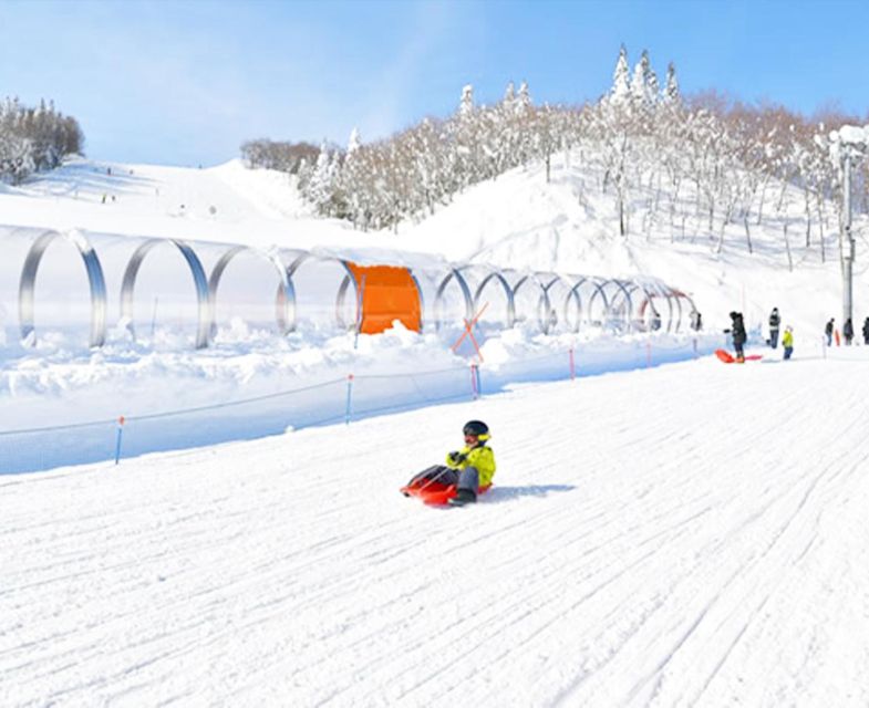 From Tokyo: Mount Fuji Skiing and Hot Springs Day Tour - Booking Information