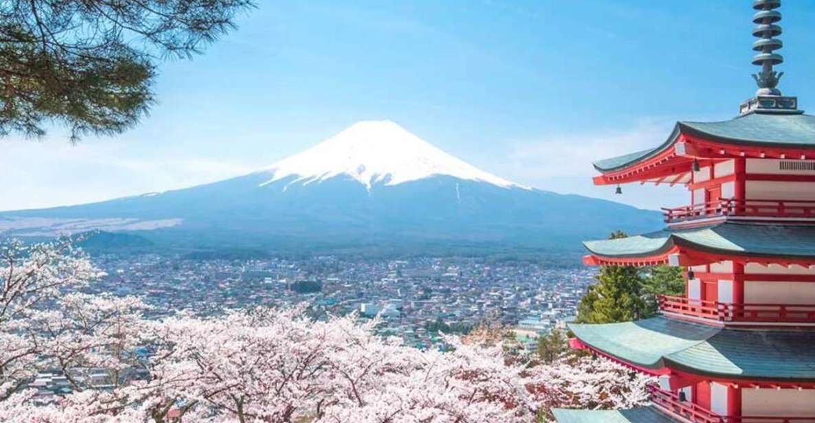 Tokyo: Mt Fuji Day Tour With Kawaguchiko Lake Visit - Wheelchair Access and Group Limit