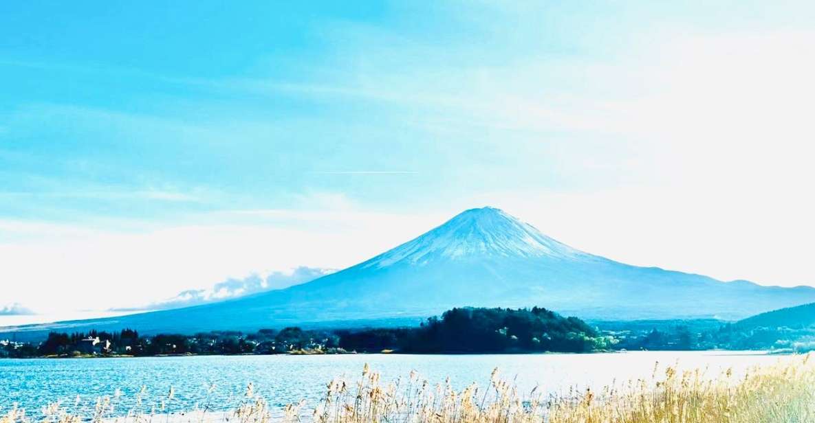 From Tokyo: Guided Day Trip to Kawaguchi Lake and Mt. Fuji - Customer Reviews