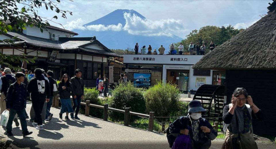 From Tokyo: Mt. Fuji Sightseeing Private Day Tour - Visitor Recommendations and Experiences