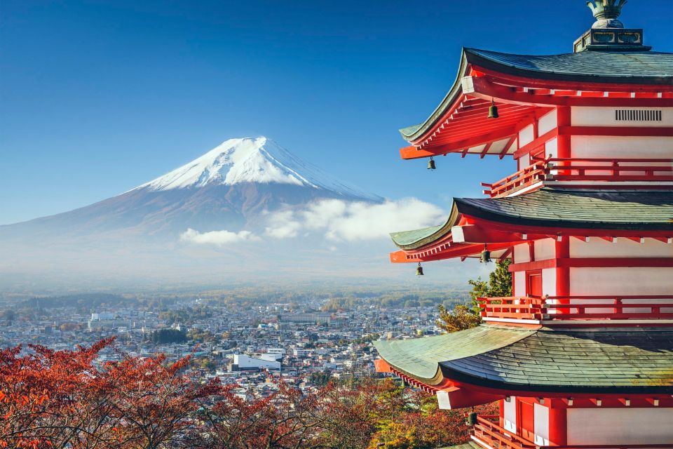 From Tokyo: Mt Fuji and Hakone Customizable Private Day Trip - Just The Basics