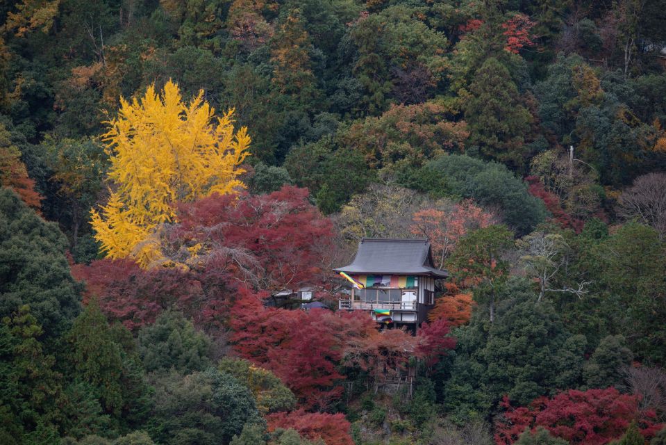 Kyoto: Arashiyama Forest Trek With Authentic Zen Experience - Activity Details