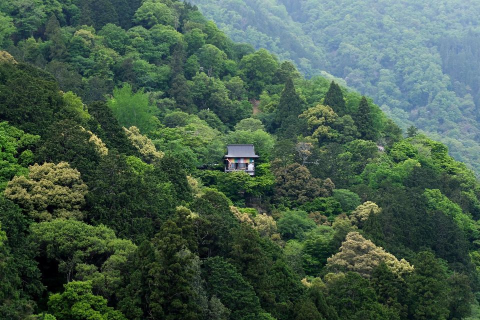 Kyoto: Arashiyama Forest Trek With Authentic Zen Experience - Final Words