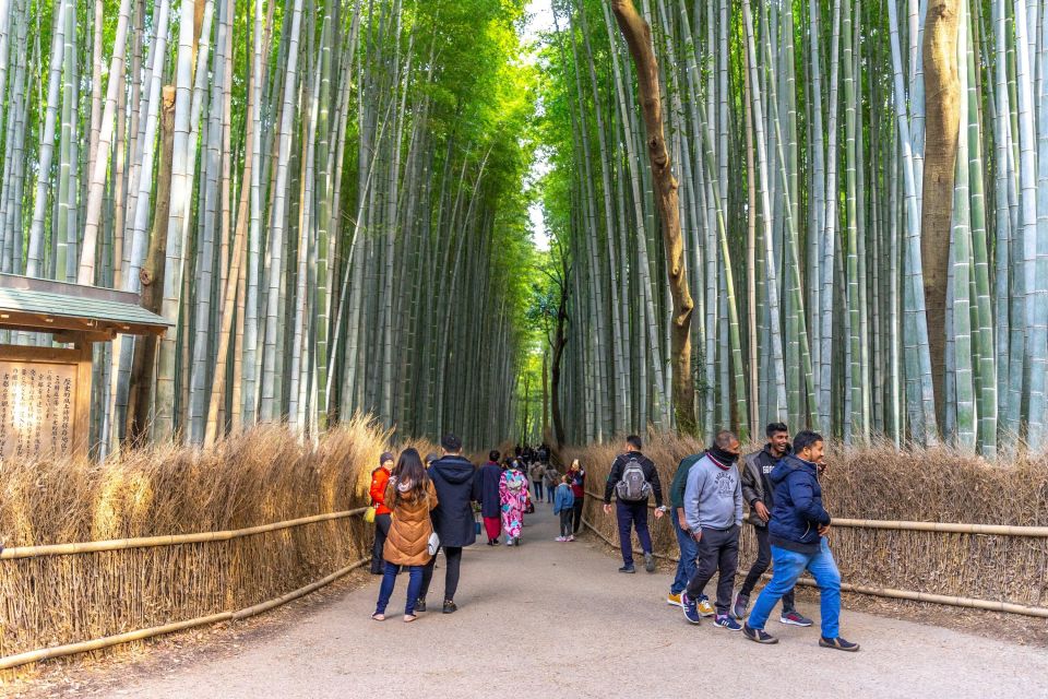 Kyoto: Arashiyama Forest Trek With Authentic Zen Experience - Zen Experience
