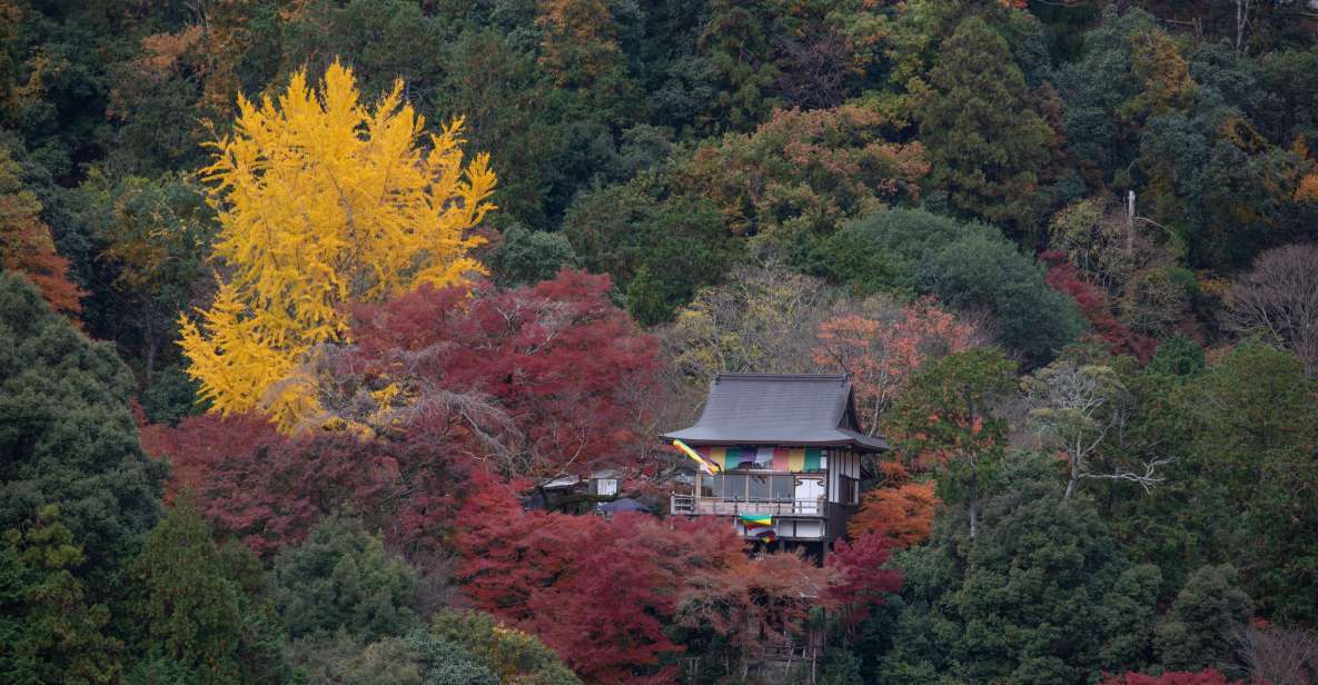 Kyoto: Arashiyama Forest Trek With Authentic Zen Experience - Customer Reviews