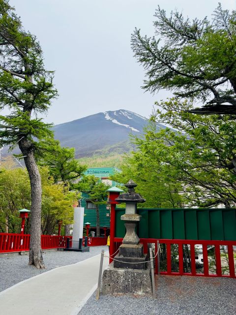 Private Day Trip to Mt. Fuji & Hakone Cherry Blossoms - Frequently Asked Questions