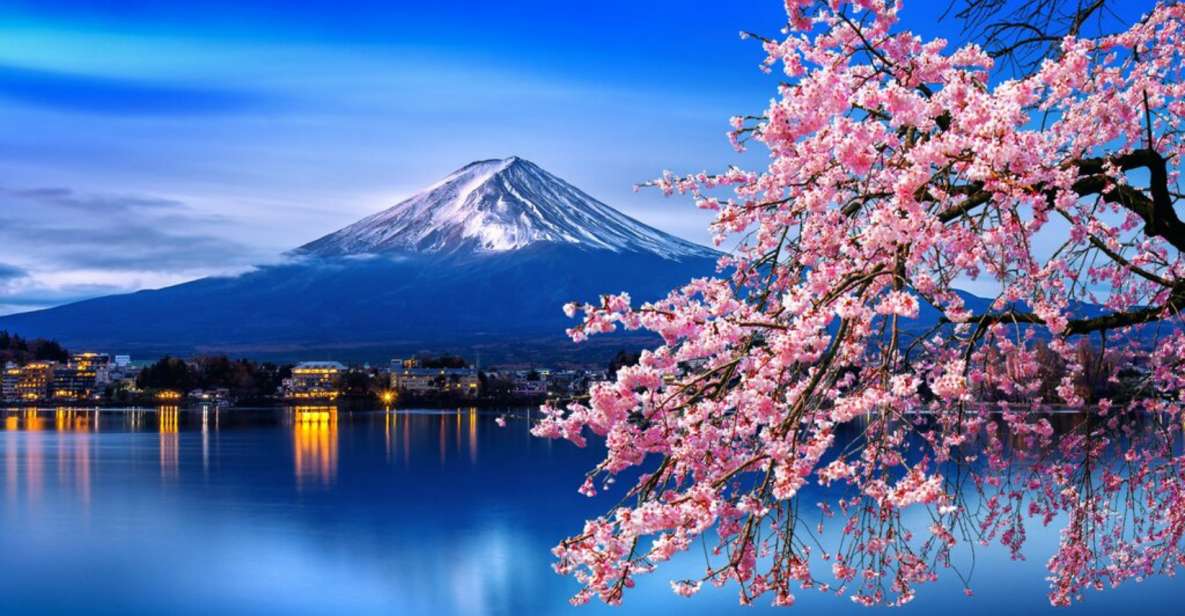 Private Day Trip to Mt. Fuji & Hakone Cherry Blossoms - Pickup Information