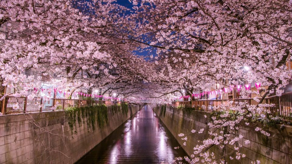 Private Day Trip to Mt. Fuji & Hakone Cherry Blossoms - Traveler Reviews