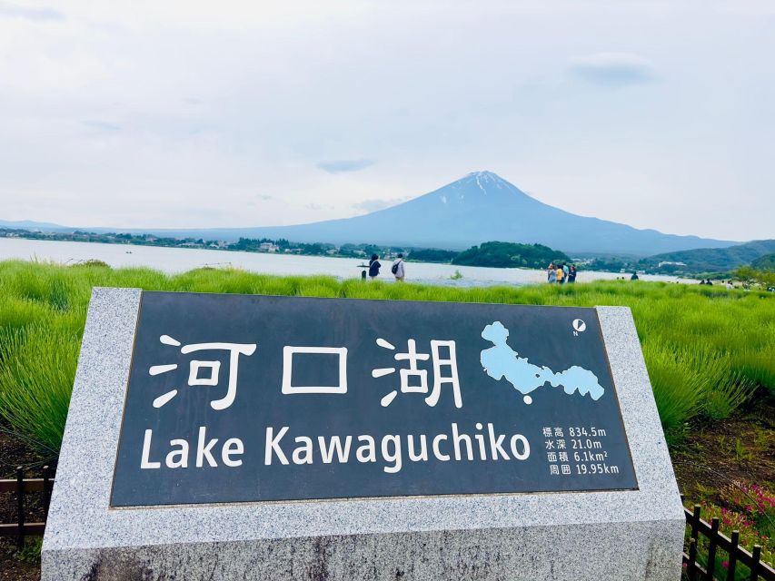 Private Day Trip to Mt. Fuji & Hakone Cherry Blossoms - Full Itinerary