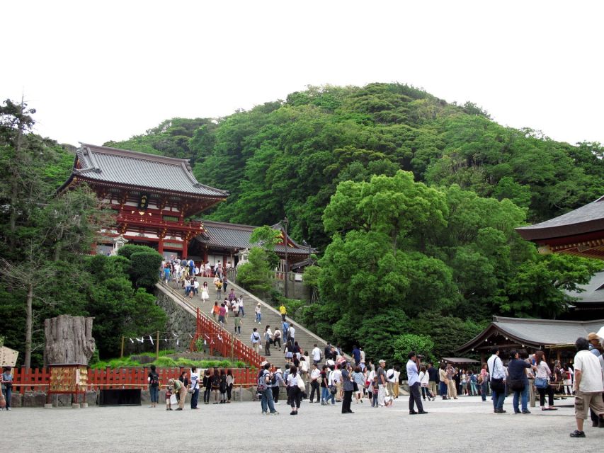 Kamakura: Great Buddha, Hase Temple, & Komachi Street Tour - Cancellation Policy Details