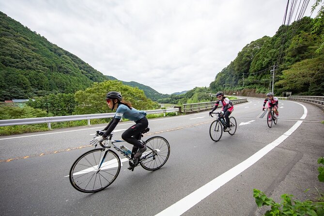 Akagi Mountain E-Bike Hill Climbing Tour - Just The Basics