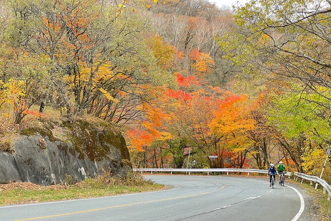 Akagi Mountain E-Bike Hill Climbing Tour - Expert Tour Guides