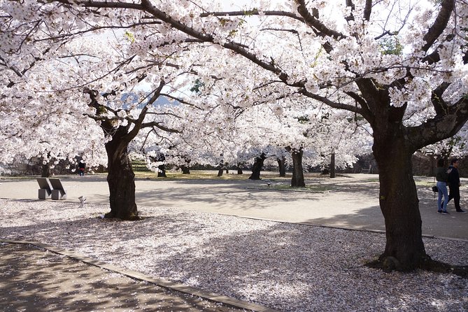(Spring Only) 1-Day Snow Monkeys & Cherry Blossoms in Nagano Tour - Meeting and Pickup Details