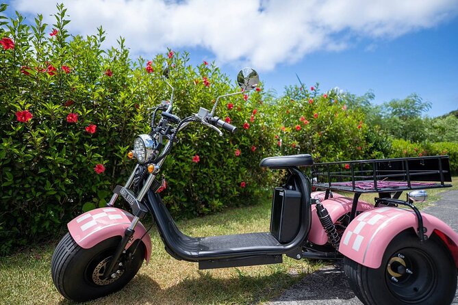 2h Electric Trike Rental in Okinawa Ishigaki - Just The Basics