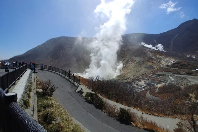 Hakone Highlights Private Tour (Mar ) - Pricing and Options