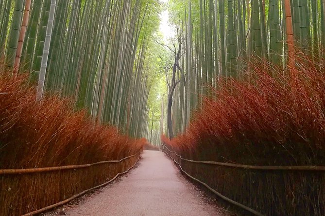 Afternoon Arashiyama Bamboo Forest & Monkey Park Bike Tour - Frequently Asked Questions
