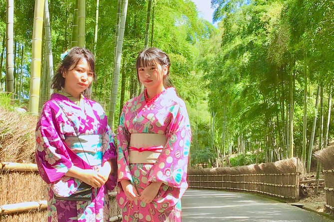 Visit to Secret Bamboo Street With Antique Kimonos! - Accessibility Information