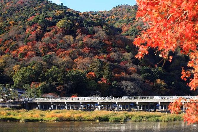 Kyoto Sagano Bamboo Grove & Arashiyama Walking Tour - Cancellation Policy