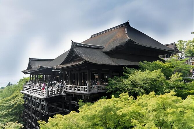 From Osaka: 10-hour Private Custom Tour to Kyoto - Reviews and Ratings Overview