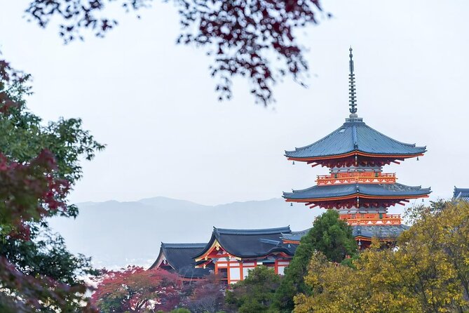 From Osaka: 10-hour Private Custom Tour to Kyoto - Customer Support Information