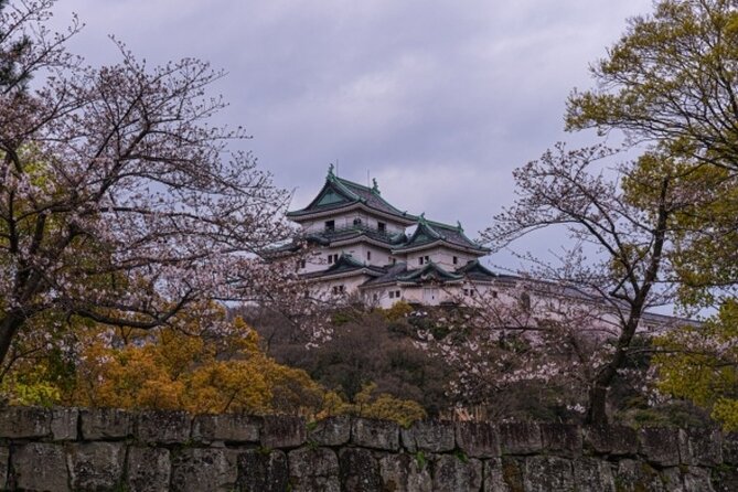 Wakayama Castle and Kuroshio Market 1 Day Tour - Itinerary Details