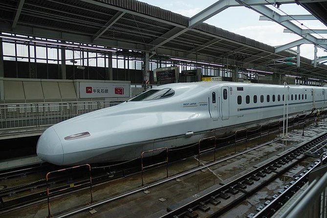 Japan Railway Station Shared Arrival Transfer : Shin Osaka Station to Osaka City - Additional Info and Policies to Note