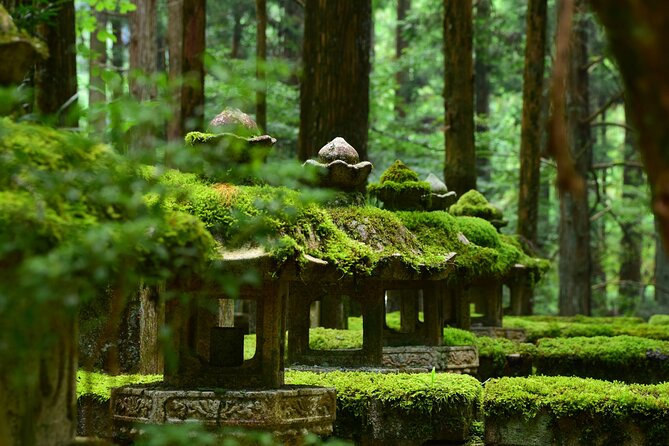 Mt. Koya 8hr Tour From Osaka: English Speaking Driver, No Guide - Booking Information