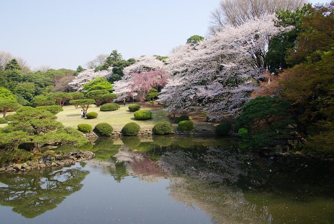 Tokyo Must See Top 10 Hidden Gems In One Day - Just The Basics