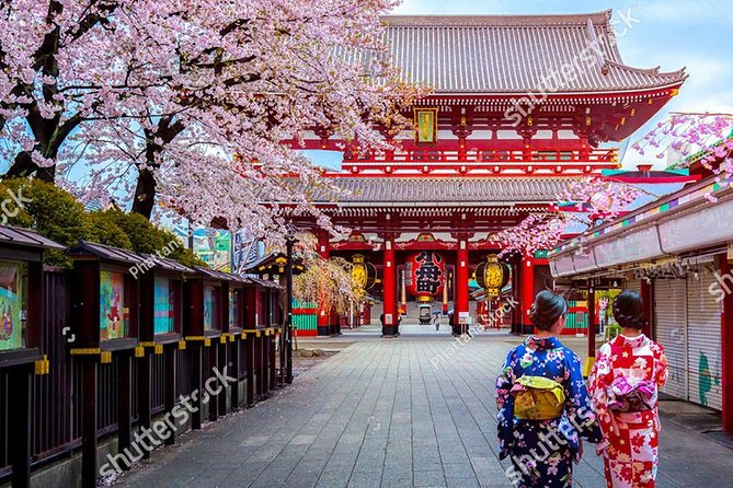 Starter Tour in Tokyo _Visiting Must-See Spots and Practical Guidance - Tour Booking and Logistics