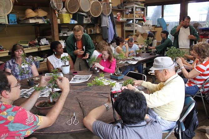 Small-Group 2-Hour Bonsai-Making Lesson in Tokyo (Mar ) - Just The Basics