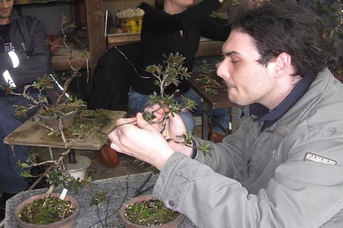 Small-Group 2-Hour Bonsai-Making Lesson in Tokyo (Mar ) - Workshop Logistics