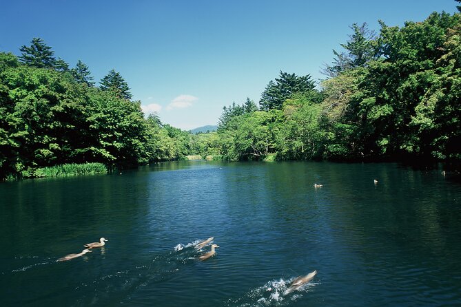 Self Guided Tour in Karuizawa With Bullet Train Ticket - Logistics and Boarding Instructions