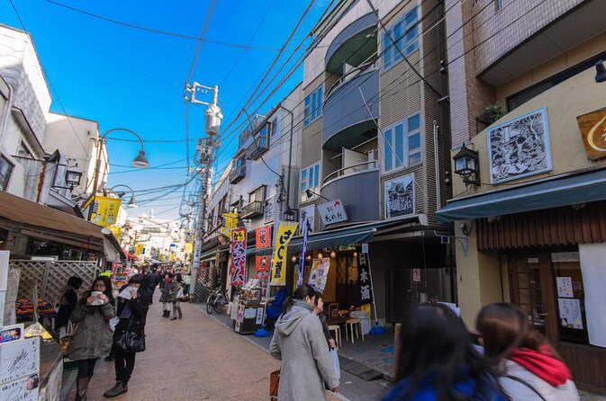 Tokyo Highlights, Asakusa, Ueno, Yanaka Walking - Just The Basics