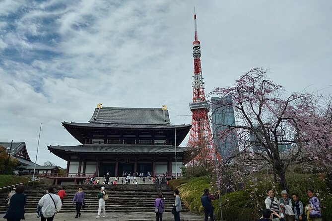 Tokyo 1-Day Private Tour/Customization & Hotel Gathering OK! - Pricing and Inclusions