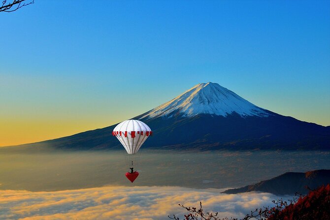 Private Mount Fuji Tour With English Speaking Chauffeur - Guided Tour Option
