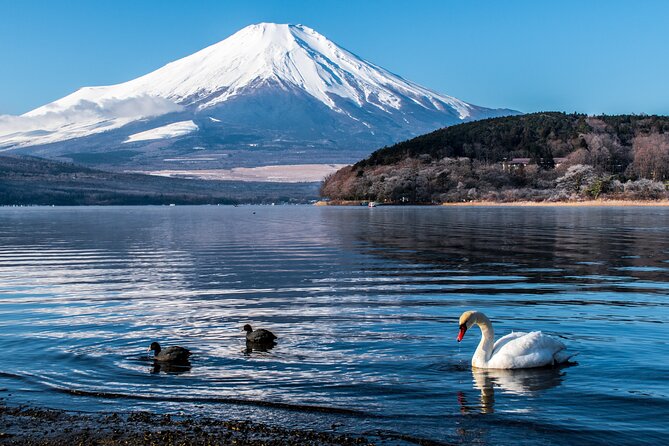Private Mount Fuji Tour With English Speaking Chauffeur - Booking and Logistics