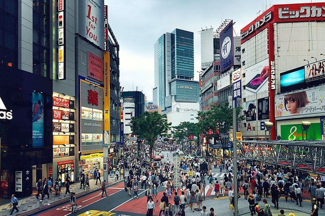 Tokyo Customizable Full-Day Private Tour (Mar ) - Inclusions Provided