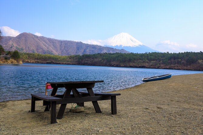 Full Day Private Tour Mt. Fuji, Hakone and Lake Ashi - Itinerary Overview