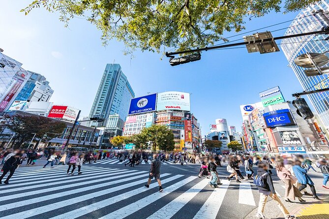 Full-Day Private Tour in New Shibuya - Final Words