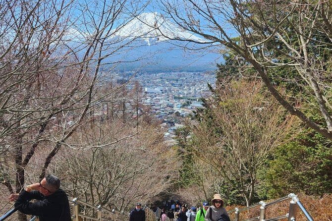 1 Day Private Tour of Hakone With English Driver - Meeting and Pickup