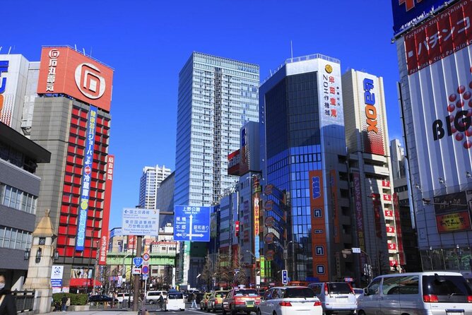 Private Tour Akihabara Adventure Explore Tokyos Electric Town - Just The Basics