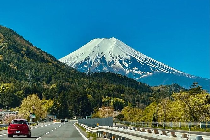 Mount Fuji Private Day Tour With English Speaking Driver - Traveler Reviews