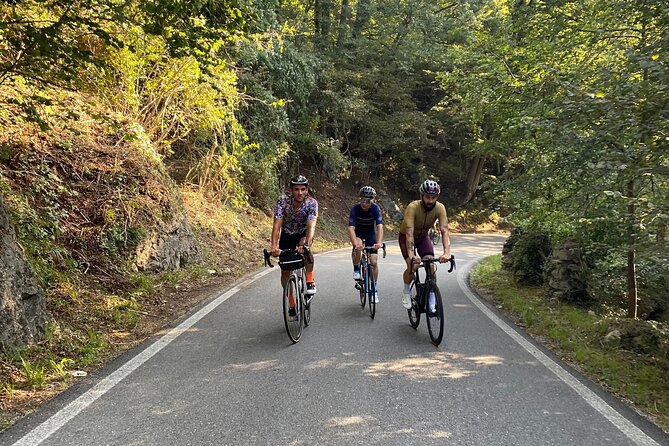 English/Italian Guided Cycling Tour in Tokyo - Cancellation Policy