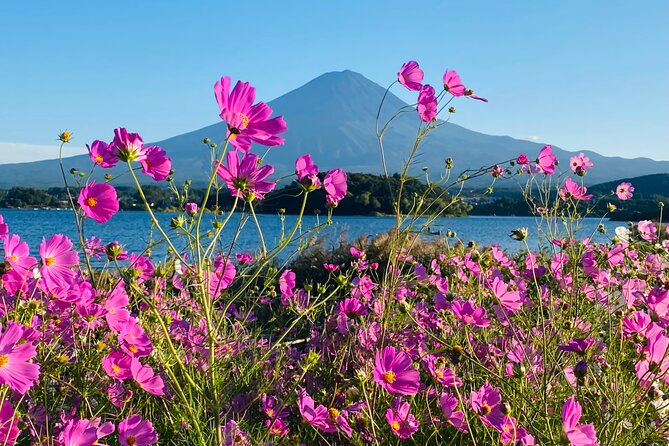 Mt. Fuji Private Sightseeing With Bilingual Chauffeur - Customer Reviews and Ratings