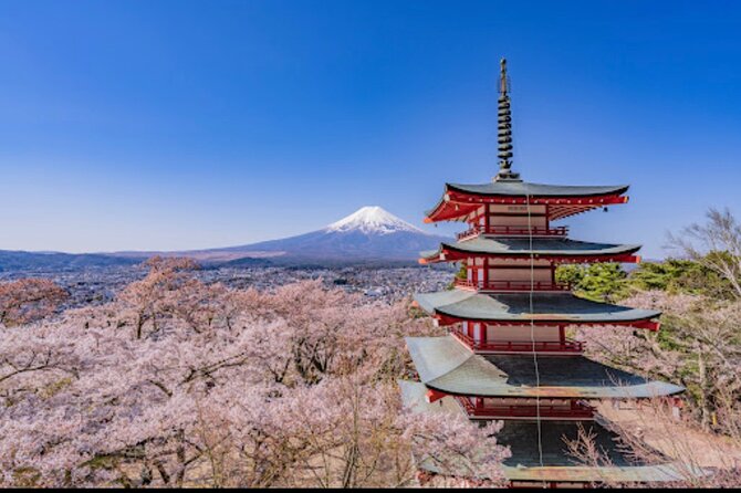 Mt. Fuji Private Sightseeing With Bilingual Chauffeur - Cancellation Policy Details