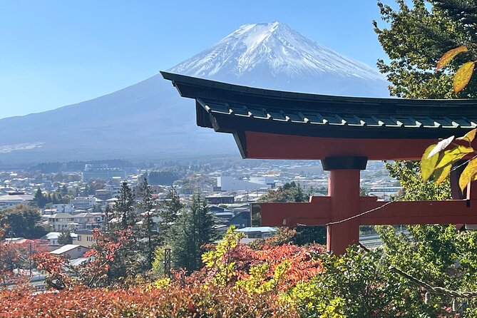 Mt. Fuji Private Sightseeing With Bilingual Chauffeur - Review Verification Process