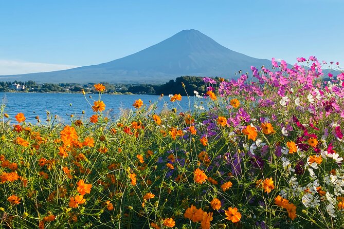 Mt. Fuji Private Sightseeing With Bilingual Chauffeur - Operational Guidelines and Terms